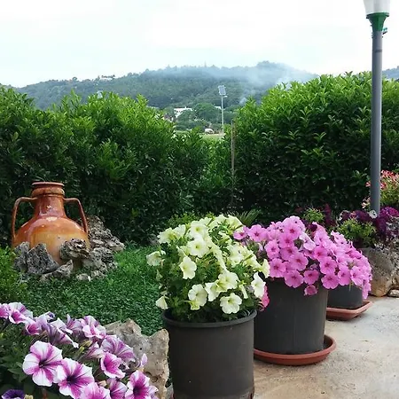 Olimpo Bed & Breakfast